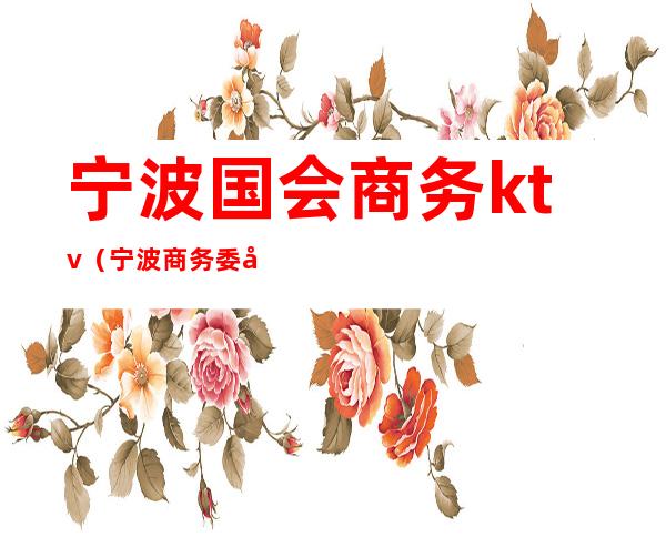 宁波国会商务ktv(宁波商务委员会)