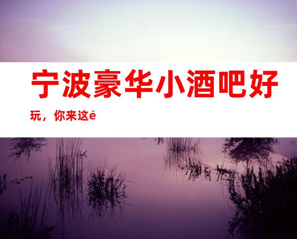 宁波豪华小酒吧好玩,你来这里把你安排的妥妥的