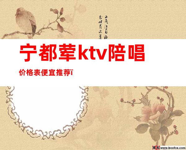 宁都荤ktv陪唱价格表便宜推荐(宁城ktv陪唱女价格)