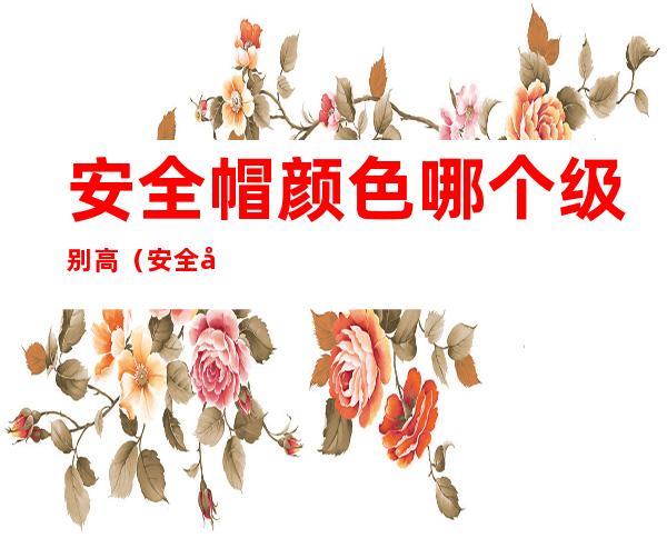 安全帽颜色哪个级别高(安全帽颜色哪个级别高什么字最高)