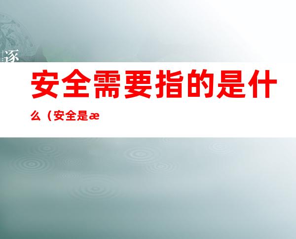 安全需要指的是什么(安全是指?)