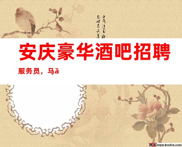 安庆豪华酒吧招聘服务员,马上旺季/旺季来临