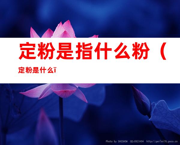 定粉是指什么粉(定粉是什么?)