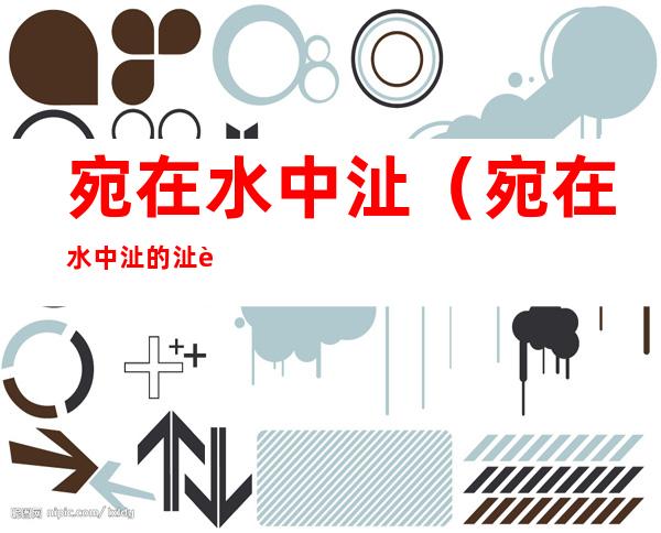 宛在水中沚(宛在水中沚的沚读音)
