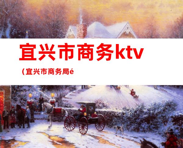 宜兴市商务ktv(宜兴市商务局金秀)