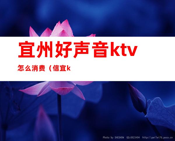 宜州好声音ktv怎么消费（信宜ktv哪家好）