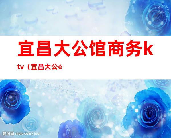 宜昌大公馆商务ktv(宜昌大公馆是什么服务)