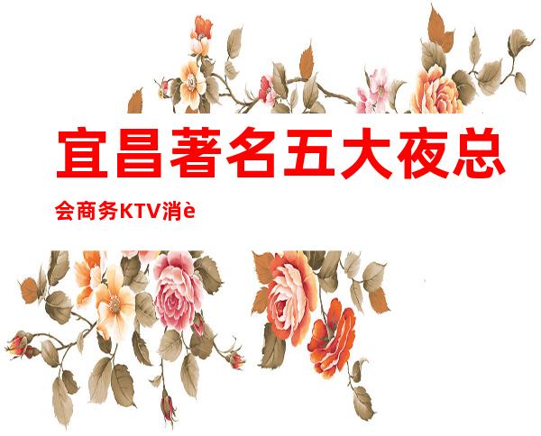 宜昌著名五大夜总会商务KTV消费排名预定包厢一览