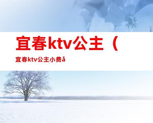 宜春ktv公主(宜春ktv公主小费多少)