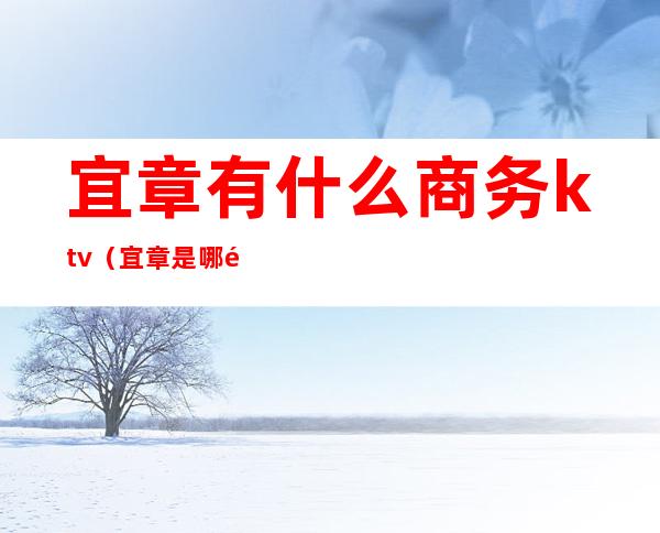 宜章有什么商务ktv(宜章是哪里)
