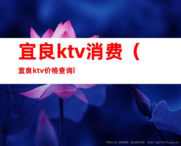 宜良ktv消费(宜良ktv价格查询)
