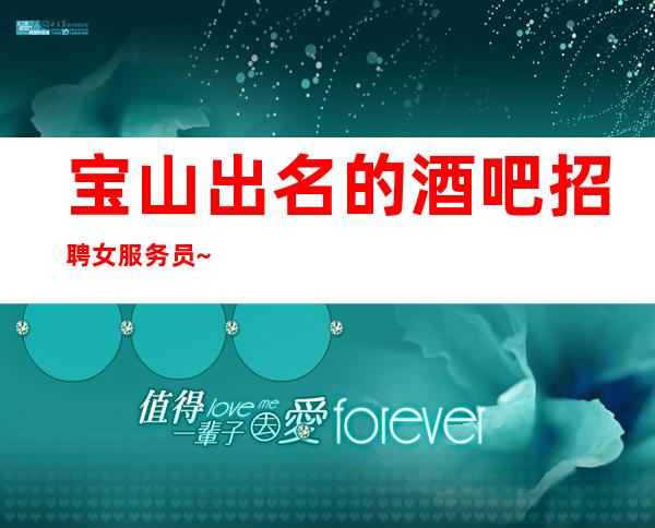 宝山出名的酒吧招聘女服务员~哪里有1O场~急招人手