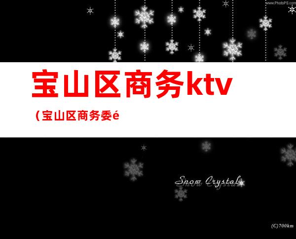 宝山区商务ktv(宝山区商务委饶宇循)