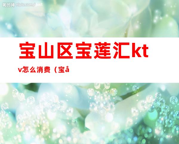 宝山区宝莲汇ktv怎么消费(宝山区宝莲汇ktv怎么消费的)