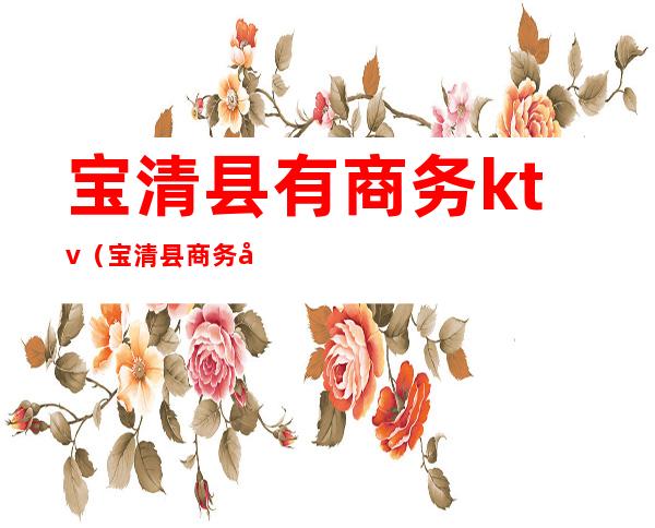 宝清县有商务ktv(宝清县商务局)