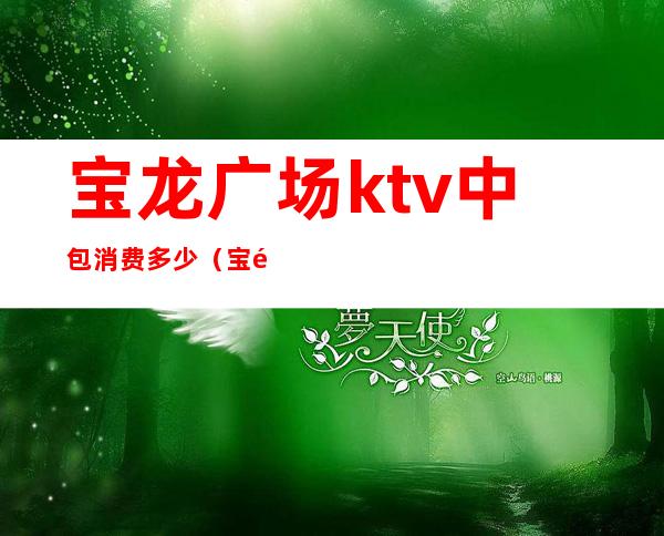 宝龙广场ktv中包消费多少(宝龙广场ktv中包消费多少钱)