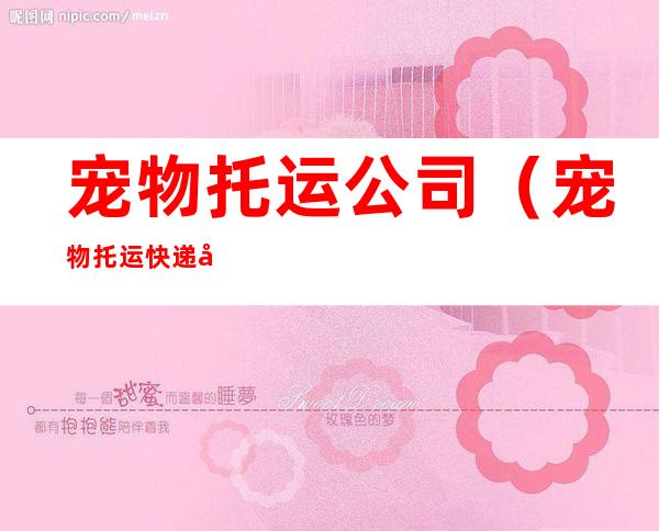 宠物托运公司(宠物托运快递公司)