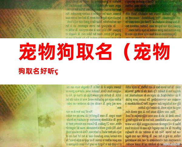 宠物狗取名(宠物狗取名好听的乖的名字)