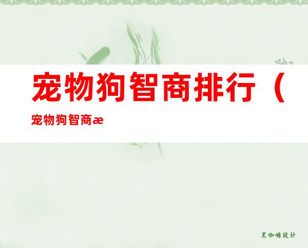 宠物狗智商排行(宠物狗智商排行榜)