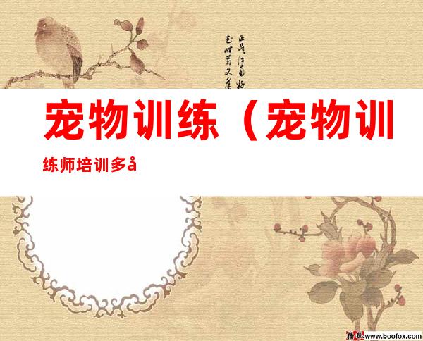 宠物训练(宠物训练师培训多少钱)