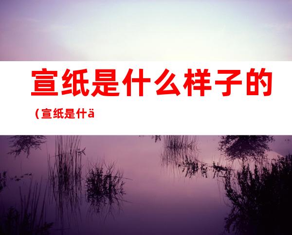 宣纸是什么样子的(宣纸是什么样子的图片)