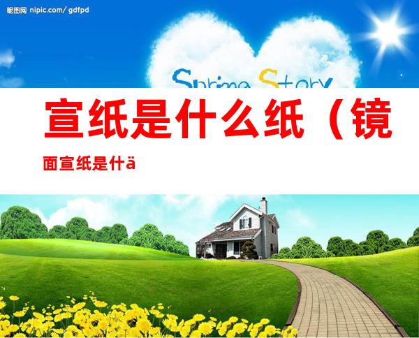 宣纸是什么纸(镜面宣纸是什么纸)