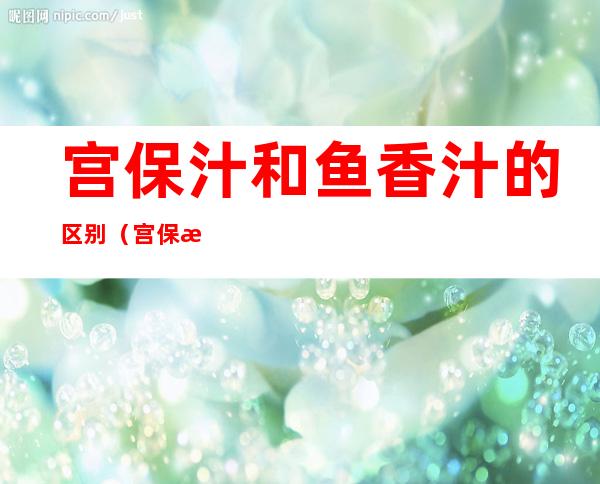 宫保汁和鱼香汁的区别(宫保汁比例正宗)
