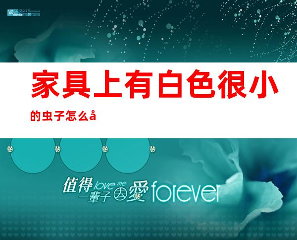 家具上有白色很小的虫子怎么办（家具上有白色很小的虫子怎么办会不会给身体带来伤害）