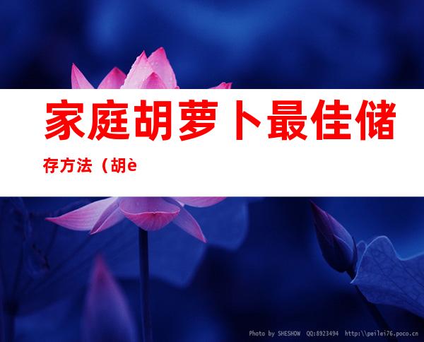 家庭胡萝卜最佳储存方法（胡萝卜怎样储存最好）