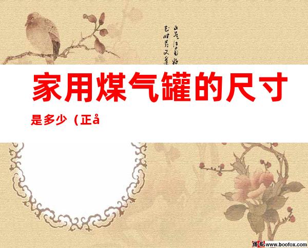 家用煤气罐的尺寸是多少(正常家用煤气罐尺寸)