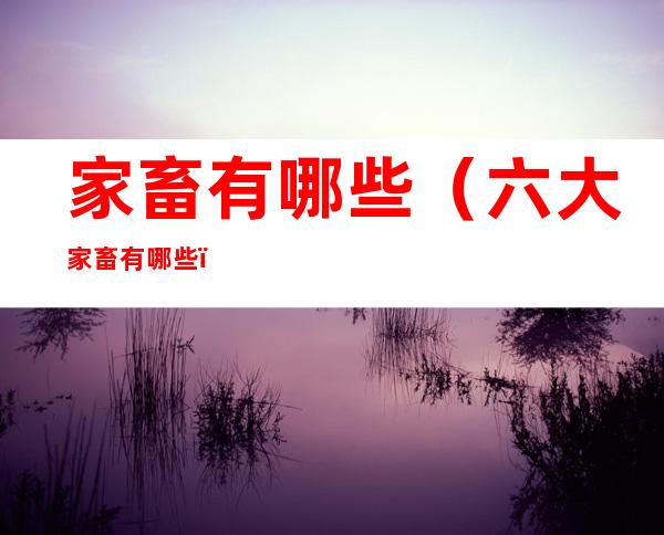 家畜有哪些（六大家畜有哪些）