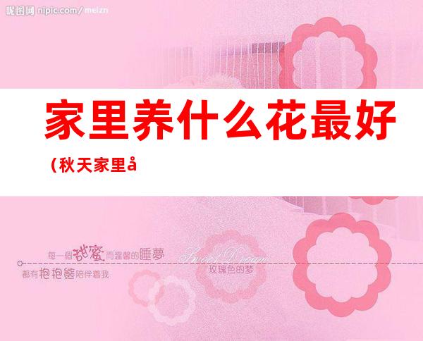 家里养什么花最好(秋天家里养什么花最好)