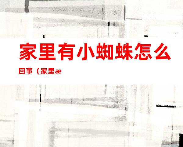 家里有小蜘蛛怎么回事(家里有很小蜘蛛是怎么回事)