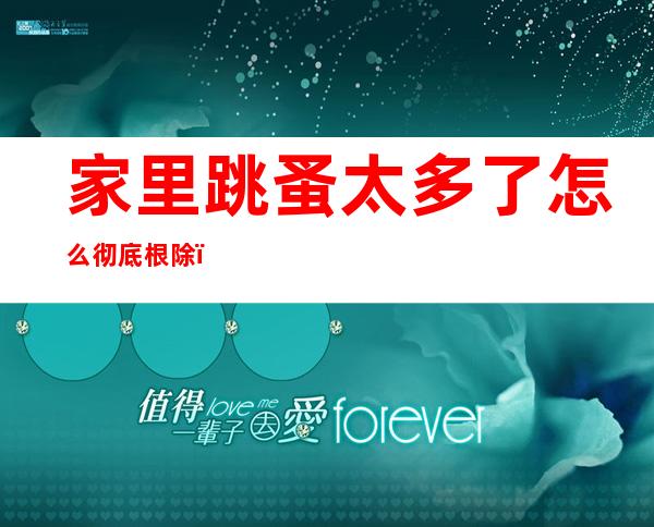 家里跳蚤太多了怎么彻底根除(家里有很多跳蚤怎么办能除根)