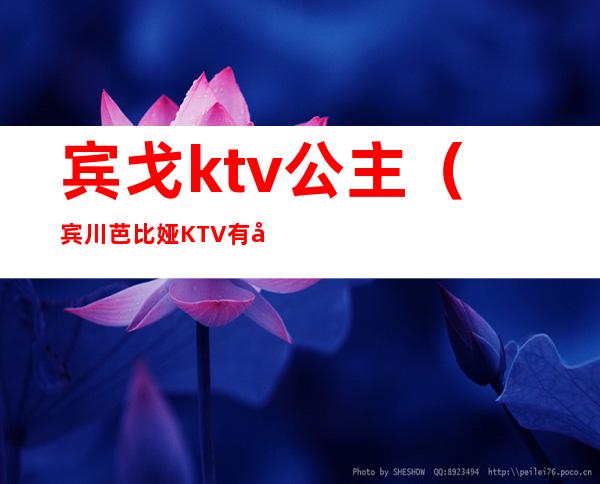 宾戈ktv公主(宾川芭比娅KTV有公主吗)