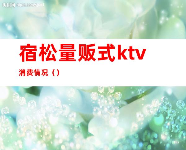 宿松量贩式ktv消费情况()