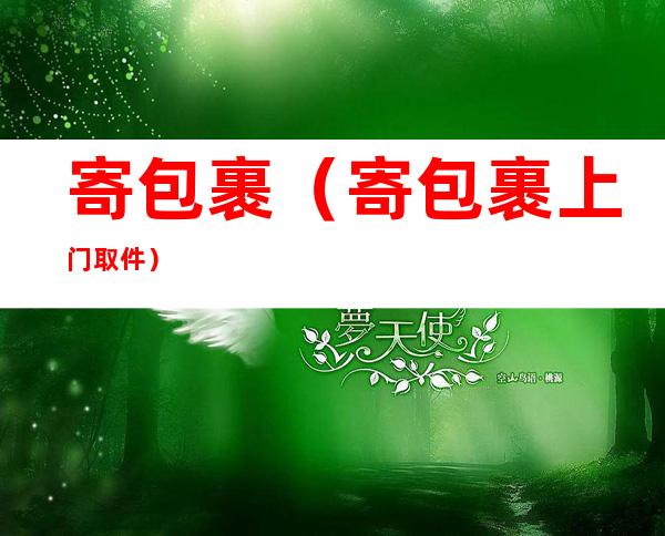 寄包裹（寄包裹上门取件）