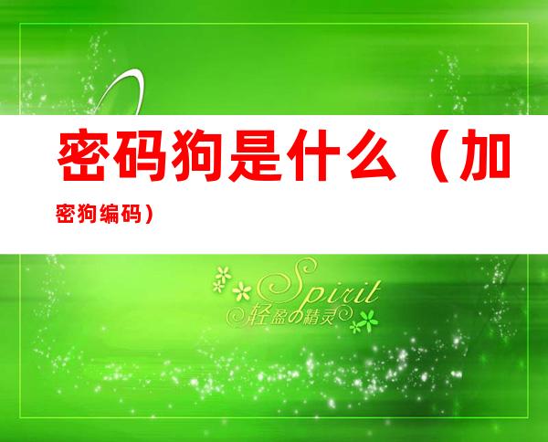 密码狗是什么(加密狗编码)