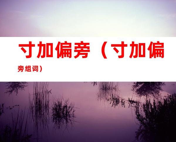 寸加偏旁（寸加偏旁组词）