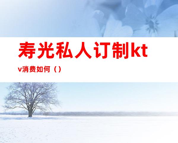 寿光私人订制ktv消费如何()