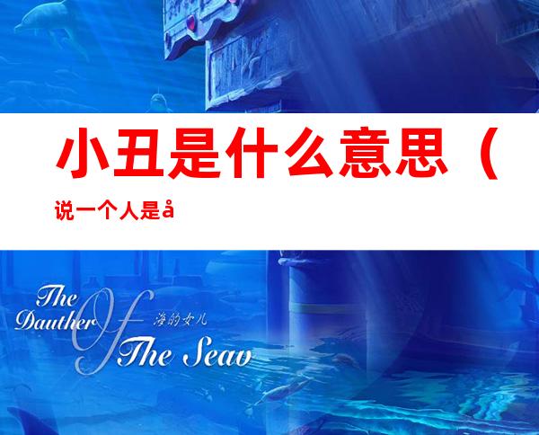 小丑是什么意思(说一个人是小丑是什么意思)