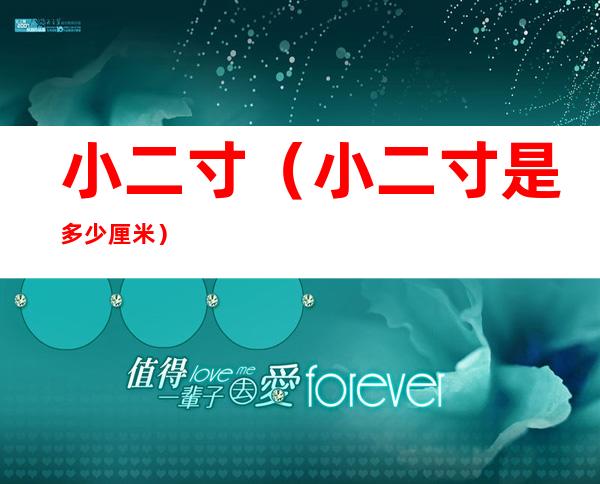 小二寸(小二寸是多少厘米)