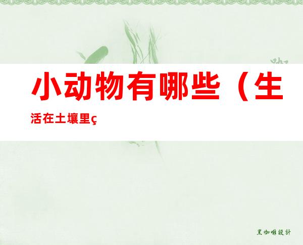 小动物有哪些（生活在土壤里的小动物有哪些）