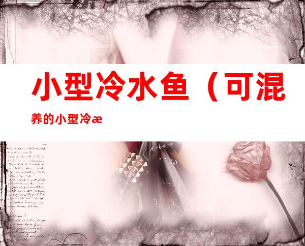 小型冷水鱼(可混养的小型冷水鱼)