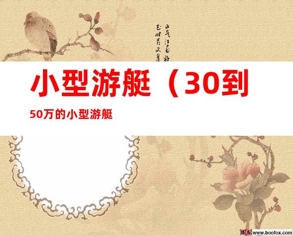小型游艇(30到50万的小型游艇)