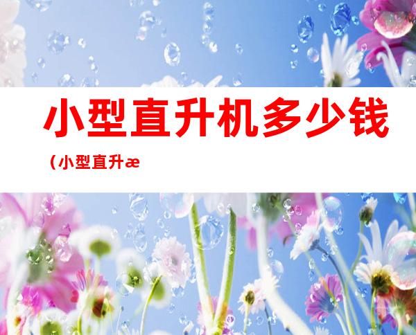 小型直升机多少钱(小型直升机多少钱一架民用飞机烧什么油)