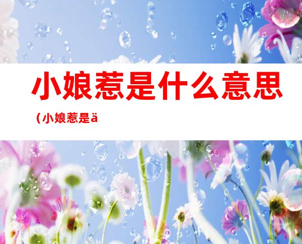 小娘惹是什么意思（小娘惹是什么意思啊多少集）