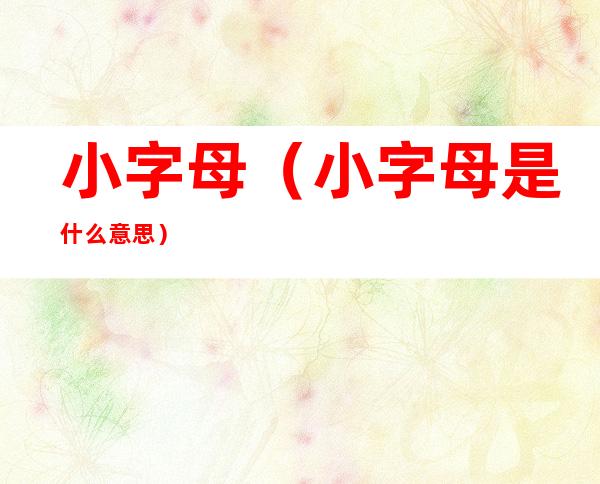 小字母（小字母是什么意思）