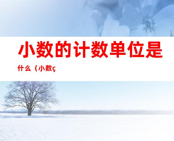 小数的计数单位是什么(小数的计数单位是什么进制)
