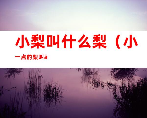 小梨叫什么梨(小一点的梨叫什么)